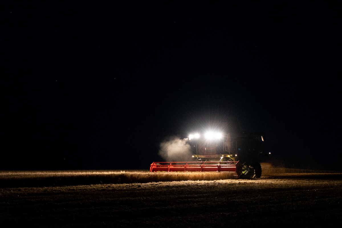 Photographe-agricole-le-regard-angelique-5