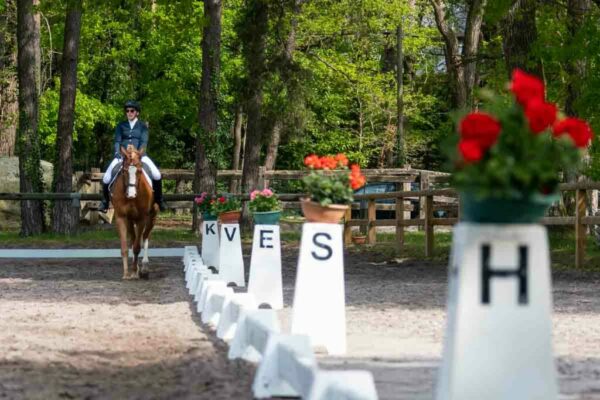 Photographe-cheval-chevaux-concours-equestre-cso-cce-dressages-le-regard-angelique-38