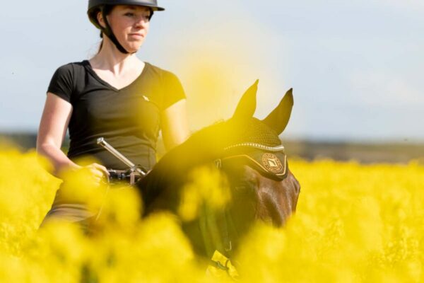 Photographe-equestre-cheval-champ-de-colza-le-regard-angelique-5