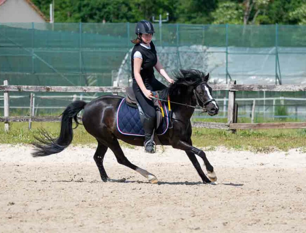 Photographe-centre-equestre-le-regard-angelique