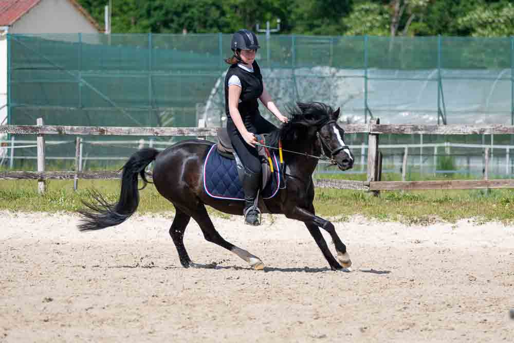 Photographe-centre-equestre-le-regard-angelique